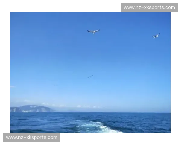 当波罗的海之魂撞击波兰雄狮：玛丽港与华沙，一场关于信仰与版图的巅峰对垒